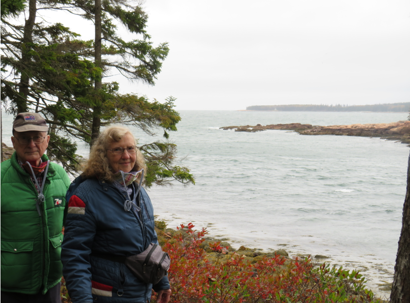 Blueberry Bushes, Acadia Nat'l Park, Oct 2020